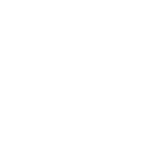 Zion Flow Logo